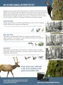 Forest Fact Sheets